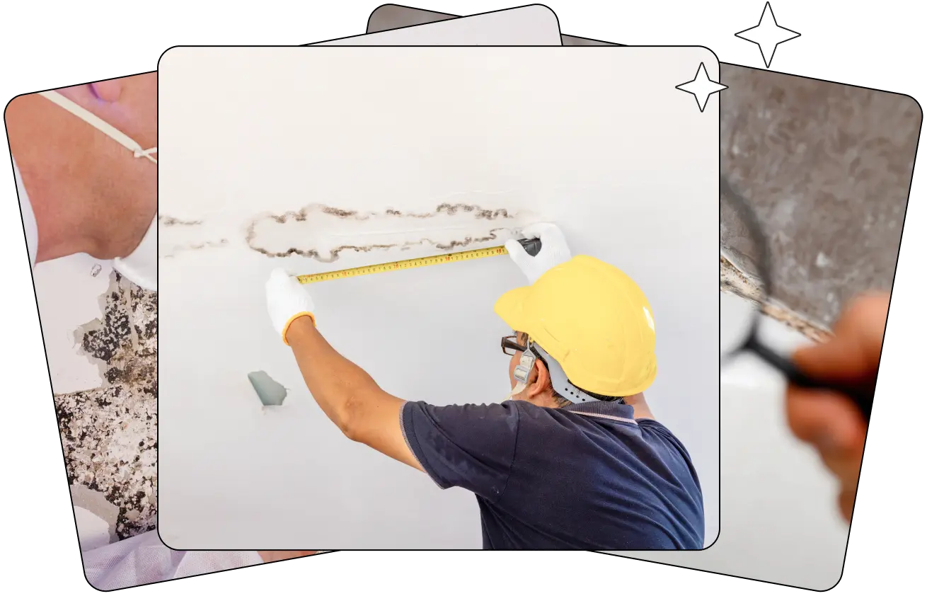 Contact Us for Mold Testing and Inspection Services