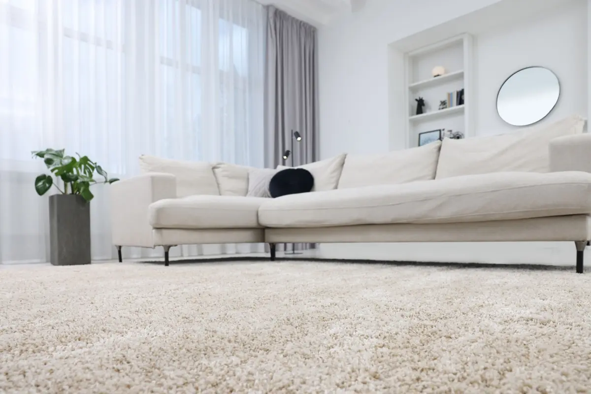 White living room with a soft fluffy carpet