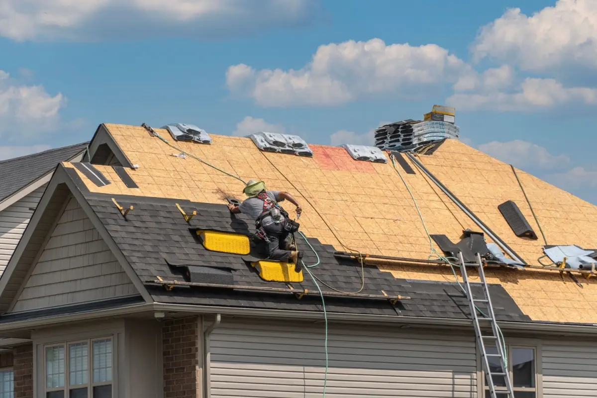 Roofers replacing shingles