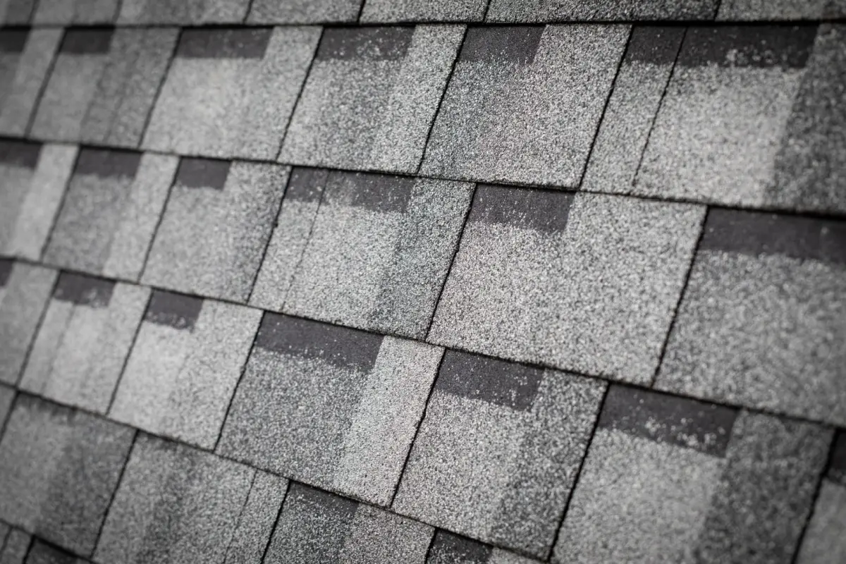 The image of an asphalt shingle roof. 